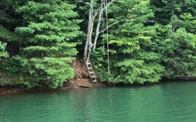 Rope Swing