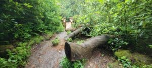 Helton Creek Falls Hike 3