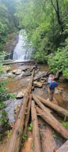 Helton Creek Falls Logs