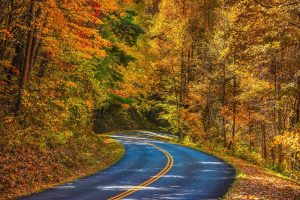 Blueridge Mountains